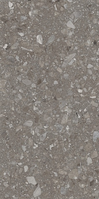 Плитка Allore Group Terra Greige F PC R Sugar (51,84) 60x120x8