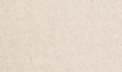 Шпалери вінілові на флізеліновій основі WallCOLOR W 158 C 13 1,06x10,05 м