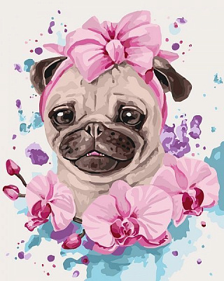 Картина за номерами Домашня улюблениця Ідейка