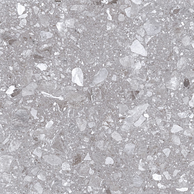 Плитка Allore Group Cosmic Light grey F P NR Mat 47х47 см