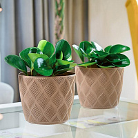 Вазон пластиковий Form-Plastic Flow-13 круглий 1,14 л бежевий (5010-051) 