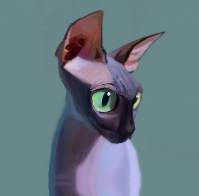 Репродукция Кот — сфинкс 35x35 см Арт Фемелі 