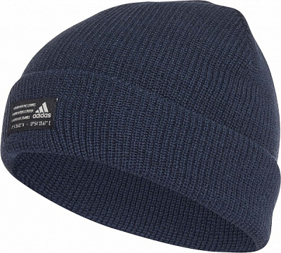 Шапка Adidas PERF WOOLIE GS2111 OSFL синій