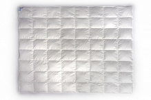 Одеяло пуховое Аделия [К-0] 200x220 см Billerbeck белый