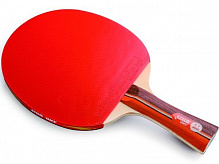 Ракетка для настольного тенниса DHS 2002 