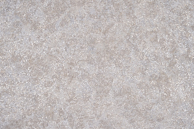 Шпалери вінілові на флізеліновій основі Слов'янські шпалери PRIMO 9018-09 1,06x10,05 м