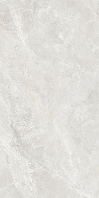 Плитка Articer Tiles Fresca light grey polished 60x120 см