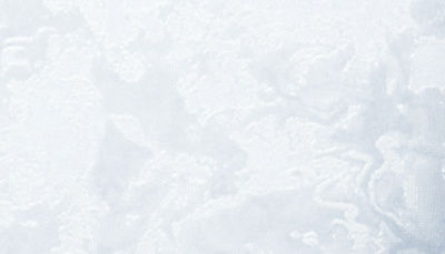 Шпалери вінілові на флізеліновій основі Vinil Lagoona ДХС-1585/1 1,06x10,05 м