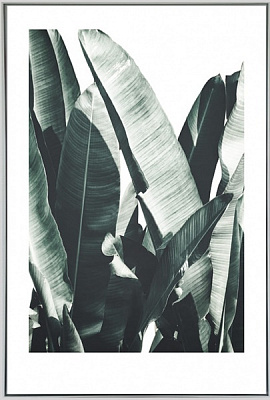 Картина на холсте Дыхание экватора 55x80 см ТЕРРАВОЛ 