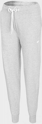 Штани 4F NOSD4-SPDD300-27M р. XL сірий