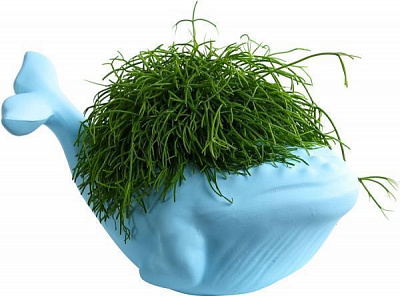 Кашпо Animal Land Кит голубой Дон Пион