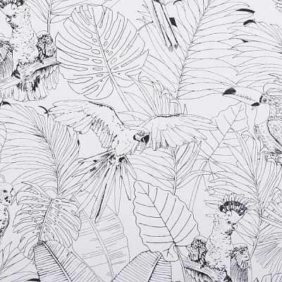 Шпалери RASCH Madagascar Tropical White parrots 447880