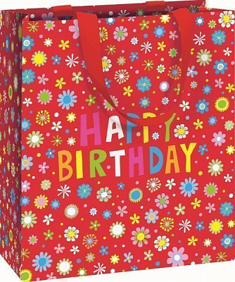 Пакет подарочный Donata red 18x8x21 см STEWO