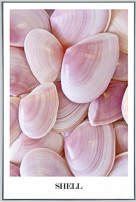 Картина на холсте М008 Shell 55x80 см ТЕРРАВОЛ 