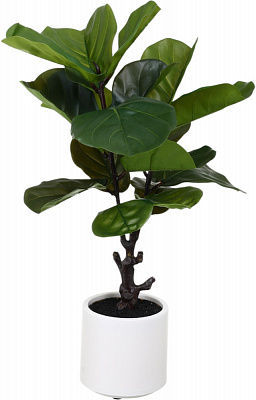 Композиція штучна Фікус в білому пластиковому горщику REAL TOUCH 75 см Inari