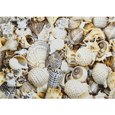 Плитка Opoczno Ніцца мушлі В декор 30x45