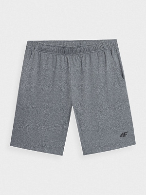 Шорты 4F 4FSS23TFSHM199-27M р. XL серый