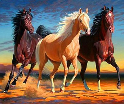 Картина стразами на підрамнику Швидкий біг 40x50 см 188565 Діамантові ручки