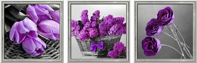 Картина модульна 29x86 см SvitArt TG-2