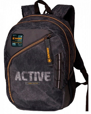 Рюкзак школьный Safari 43x29x16 см 22-201L-2