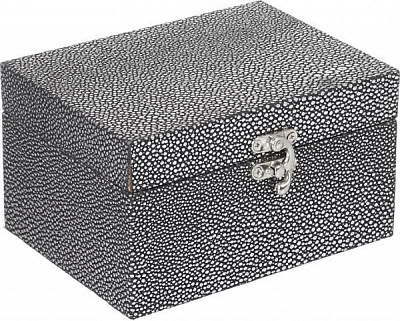 Шкатулка для украшений Moon dust 16x12x9 см XB17475-S