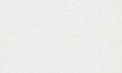 Шпалери вінілові на флізеліновій основі Bravo 81800BR00 1,06x10,05 м