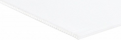 Лист із сотового поліпропілену 4мм 1000x2000мм білий