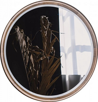 Зеркало со встроенной подсветкой SG LED EVERGLADES D600 мм в раме орех темный 