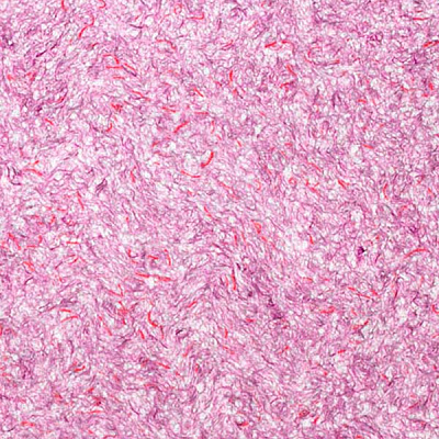 Жидкие обои Bioplast 611 1 кг 