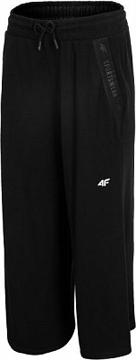 Брюки 4F H4L20-SPDD013-20S р. L черный
