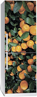 Наліпка на холодильник Zatarga Цитрус 01 Z180068 65x200 см
