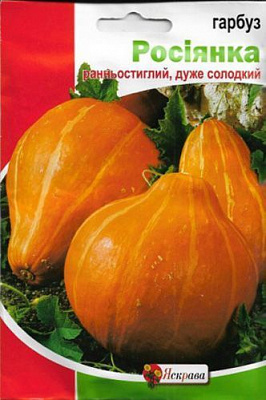 Насіння Яскрава гарбуз Росіянка 10г