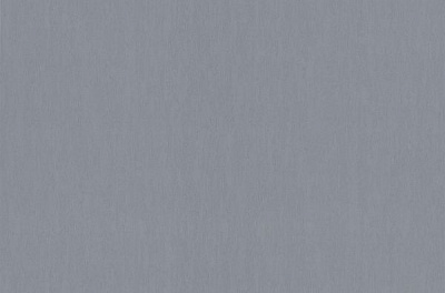 Шпалери вінілові на флізеліновій основі Bravo 81208BR47 1,06x10,05 м