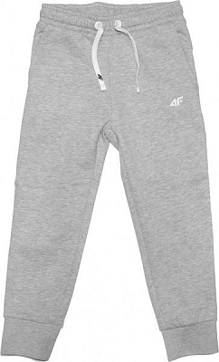 Штани 4F HJZ20-JSPDD001-25M р. 158 сірий меланж