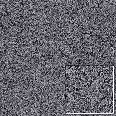 Шпалери Sintra Gloria 826737 1.06х10.05 м