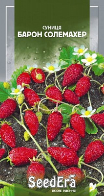 Насіння Seedera суниця Барон Солемахер 0,05 г