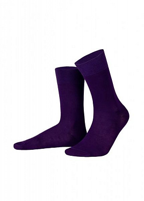Шкарпетки чоловічі Feeelings р. 44-46 фіолетовий 1 пар 700 44-46 523