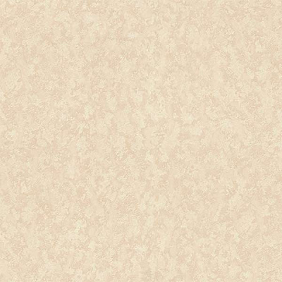 Шпалери вінілові гарячого тиснення Vinil Аделія ЭШТ5-0991 1,06x10,05 м