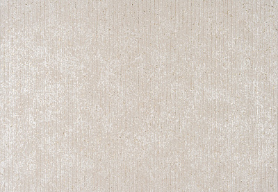 Шпалери вінілові на паперовій основі Слов'янські шпалери Expromt Вельвет 9143-02 1,06x10,05 м