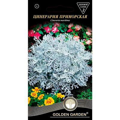 Семена Golden Garden цинерария приморская 0,1 г