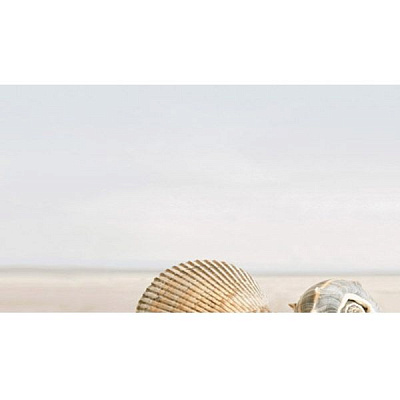 Плитка Golden Tile SUMMER STONE Holiday бежевий декор №1 В41311 25x40