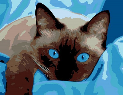 Картина по номерам Blue Еyes 35x45 см Rosa Start 