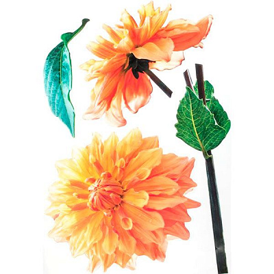 Декоративная наклейка Георгины