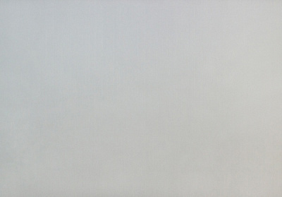 Обои виниловые на флизелиновой основе Vinil Призма ДХН-1493/4 1,06x10,05 м 