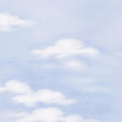 As Creation Dekora Natur 5 7981-21 0.53x10.05 м