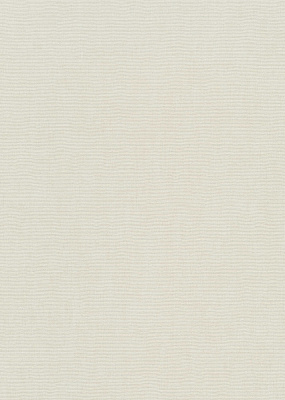 Обои виниловые на флизелиновой основе Erismann Aurora 12247-02 1,06x10,05 м
