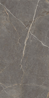 Плитка Allore Group Pietra Taupe F P R Full Lappato 60x120 см