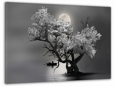 Картина на холсте Чорно-белая ночь 60x100 см Dekor-Karpaty ЕО247 