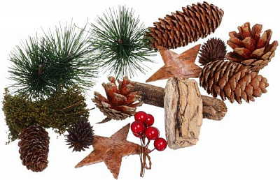 Набір новорічних декорацій шишки і хвоя EPI-C37587