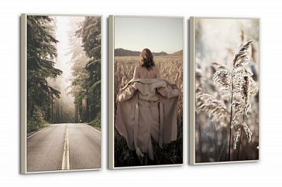 Картина модульная Свобода 80x120 см Юрис Проф Арт 